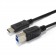 male USB 3.1 USB-B cable to USB Type-C reversible male OTG 1m