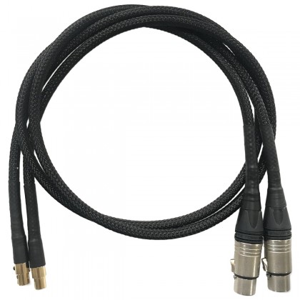 AUDIO-GD Câble XLR 4 broches vers ACSS pour liaison Master1-A1