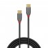 LINDY ANTHRA LINE Câble USB-C Mâle vers USB-C Mâle 2.0 Plaqué Or 0.5m