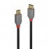 LINDY ANTHRA LINE Câble USB-C Mâle vers Micro USB Mâle 2.0 Plaqué Or 2m