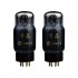 SHUGUANG TREASURE 6CA7-Z Amplification Tubes (Matched Pair)