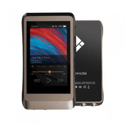 IBASSO DX120 DAP HiFi Music Player DAC AK4495 32bit 384kHz DSD128 Brown