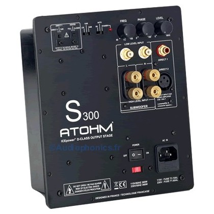 Module amplification subwoofer ATOHM S300 ICEPOWER