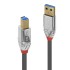 LINDY CROMO LINE Câble USB-A Mâle vers USB-B Mâle 3.0 Plaqué Or 1m