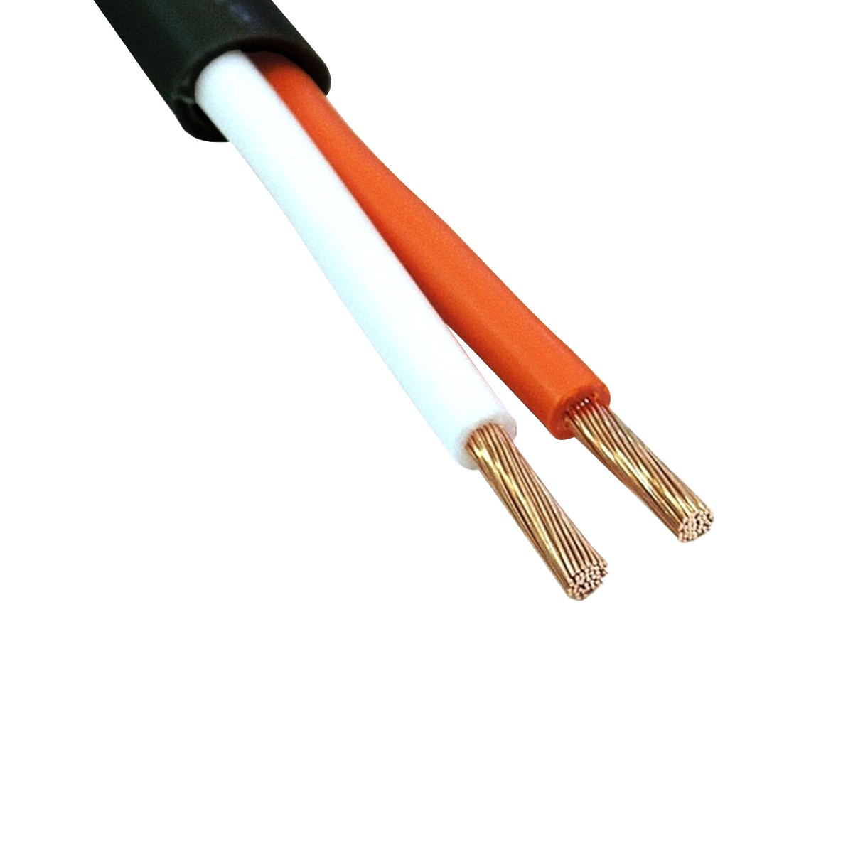 CANARE 8S8F Copper Speaker Cable 8x8.68mm² Ø8mm - Audiophonics CANARE 8S8F Copper Speaker Cable 8x8.68mm² Ø8mm - Audiophonics