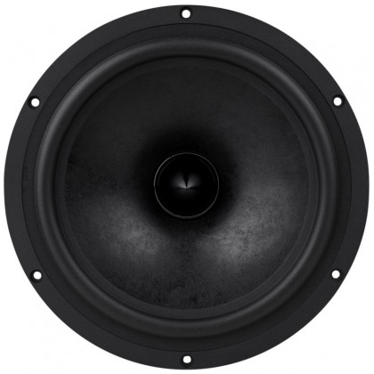 Top woofer audio dayton RS270P-8A series reference