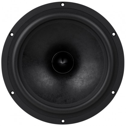 Haut parleur grave dayton audio RS270P-8A série référence