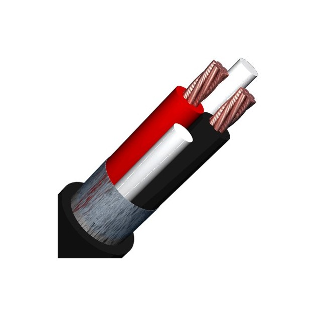 deleyCON 25m Cable pour Haut-Parleur 2X 4,0mm² Rouge/Noir CCA Aluminium Revêtu de Cuivre Brins 2x56x0,30mm Marque de Polarité 
