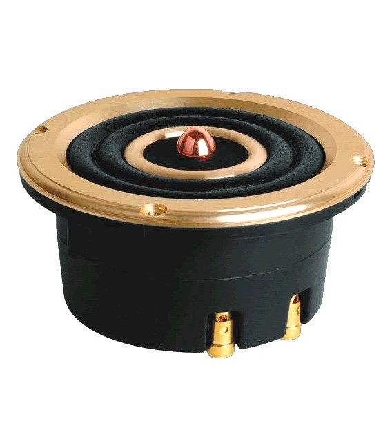 Ribbon Tweeter Hivi Tweeter Peices Ribbon Tweeters Ohm 30W HIVI RT1C