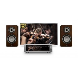 ROSE RS201E Media Center DAC 32bit / 384kHz avec Amplificateur 2x50W