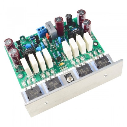 LJ L20 Modules Amplificateur 200W 8ohms mono (La paire)