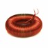 JANTZEN AUDIO C-COIL 000-6122 4N Copper Toroidal Coil 12AWG Ø2mm 3mH 0.04 Ohm