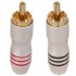 WM AUDIO CS-329 RCA Plug Gold Plated Ø6.3mm (La paire)