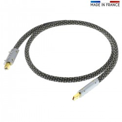AUDIOPHONICS PULSAR Câble USB-A Mâle vers USB-B Mâle Plaqué Argent / Or 1m