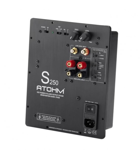 ATOHM S250-X ICE POWER Amplifier Module 
