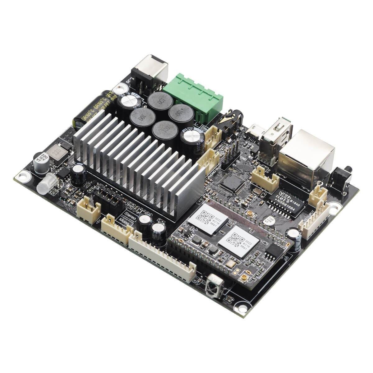 ARYLIC UP2STREAM AMP MONO Amplifier Board WiFi Bluetooth 5.0 60W 4 Ohm