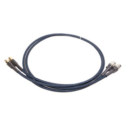 Audio-GD Câble d'interconnexion ACSS (Ancien vers Nouveau) 1m