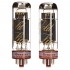 GENALEX GOLD LION KT77 Tubes Platinum (Paire appairée)