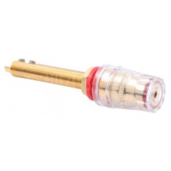 EIZZ EZ-303 Gold plated Binding posts Ø18mm x 78mm (Pair)