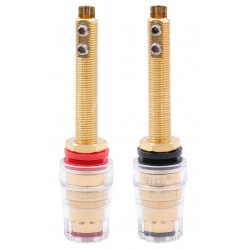 EIZZ EZ-303 Gold plated Binding posts Ø18mm x 78mm (Pair)