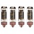 GENALEX GOLD LION KT77 Platinum Tubes (Matched Quad)