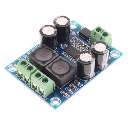 Amplifier Board Class D TPA3118 Mono 60W 4 Ohm