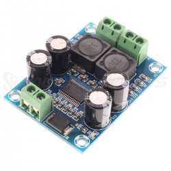 Amplifier Board Class D TPA3118 Mono 60W 4 Ohm