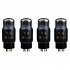 SHUGUANG TREASURE 6CA7-Z Amplification Tubes (Matched Quad)