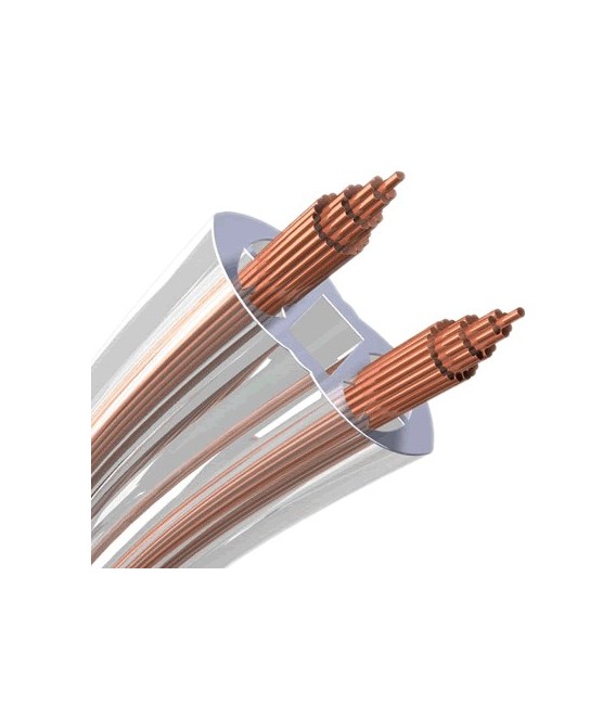 Inakustik Exzellenz Silver - Câble haut parleur 2x2.5mm²