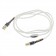ATAUDIO SILVER Câble USB-A Mâle vers USB-B Mâle Argent Pur OCC 0.75m