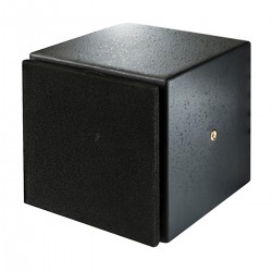 MINIDSP SPK-4P Enceinte Active Large Bande PoE+ AVB DSP SHARC 2x15W