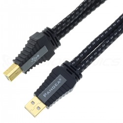 PANGEA PREMIER XL MKII Câble USB-A Mâle vers USB-B Mâle Cuivre Cardas Plaqué Argent 0.5m
