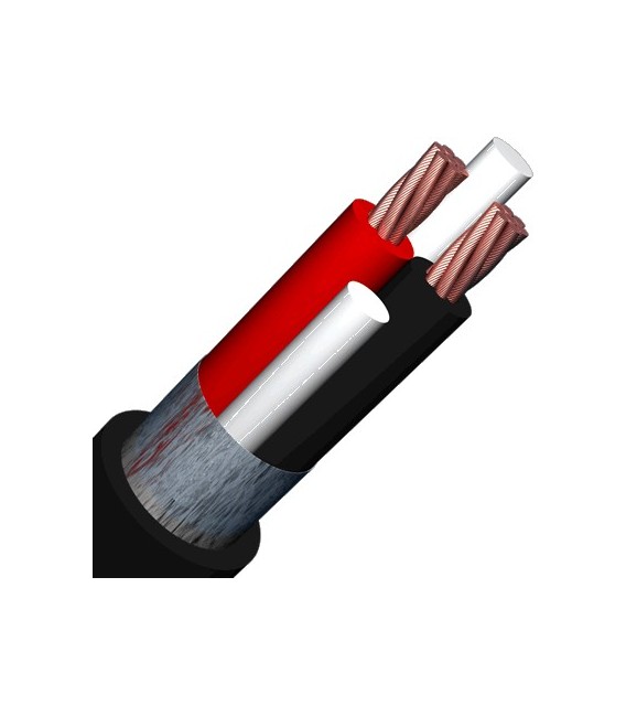 SOMMERCABLE SC-ORBIT 240 MKII Câble Haut-Parleur Cuivre OFC 2x4mm²