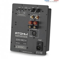 ATOHM S250-MK2-X ICE POWER Module Amplificateur Class D Subwoofer 220W 4Ω