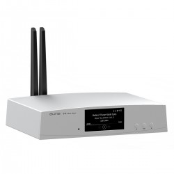 AUNE S10N Lecteur Réseau WiFi Bluetooth aptX HD LDAC 32bit 768kHz DSD512 Argent