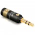 VIABLUE T6s Small Mini-JACK 3.5mm Stéréo Bronze Plaqué Or 24k Ø6.2mm (Unité)