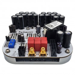 HYPEX Nilai500DIY NILAI Module amplificateur mono Class D 500W 4 Ohm (Unité)