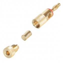 Dayton Audio BACT Fiches Bananes plaquées Or (x2) Ø 5.0mm