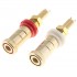 XANGSANE XS-T075 Gold-Plated Pure Copper Speaker Terminals (Set x4)