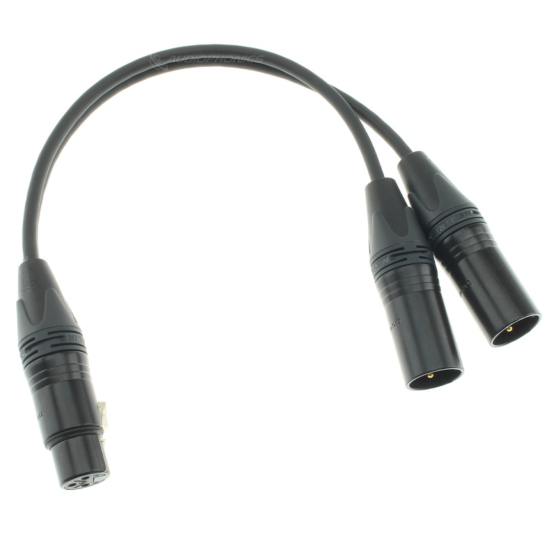 AUDIOPHONICS NEUTRIK Câble de Modulation Doubleur de Signal 1x XLR Femelle  3 Pins vers 2x XLR Mâle 3 Pins 30cm - Audiophonics