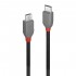 LINDY ANTHRA LINE Câble USB-C Mâle vers Micro USB Mâle 2.0 Plaqué Or 0.5m