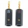 RAMM AUDIO 20100GT Banana Plug BFA Ø8mm (Pair)