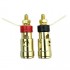 Isolated Speaker Terminals Brass Gold Plated 5mm (Pair)