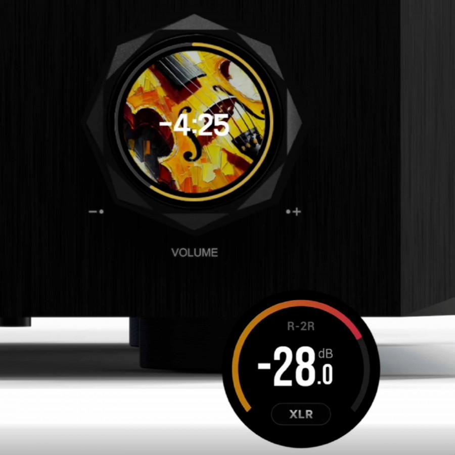 EverSolo DMP-A10