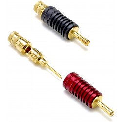 ATOHM WT-LMB Fiche Banane Laiton Plaquée Or 24K Red