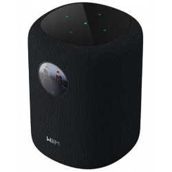WIIM SOUND DISPLAY Enceintes Connectées avec Écran Noir (Unité)