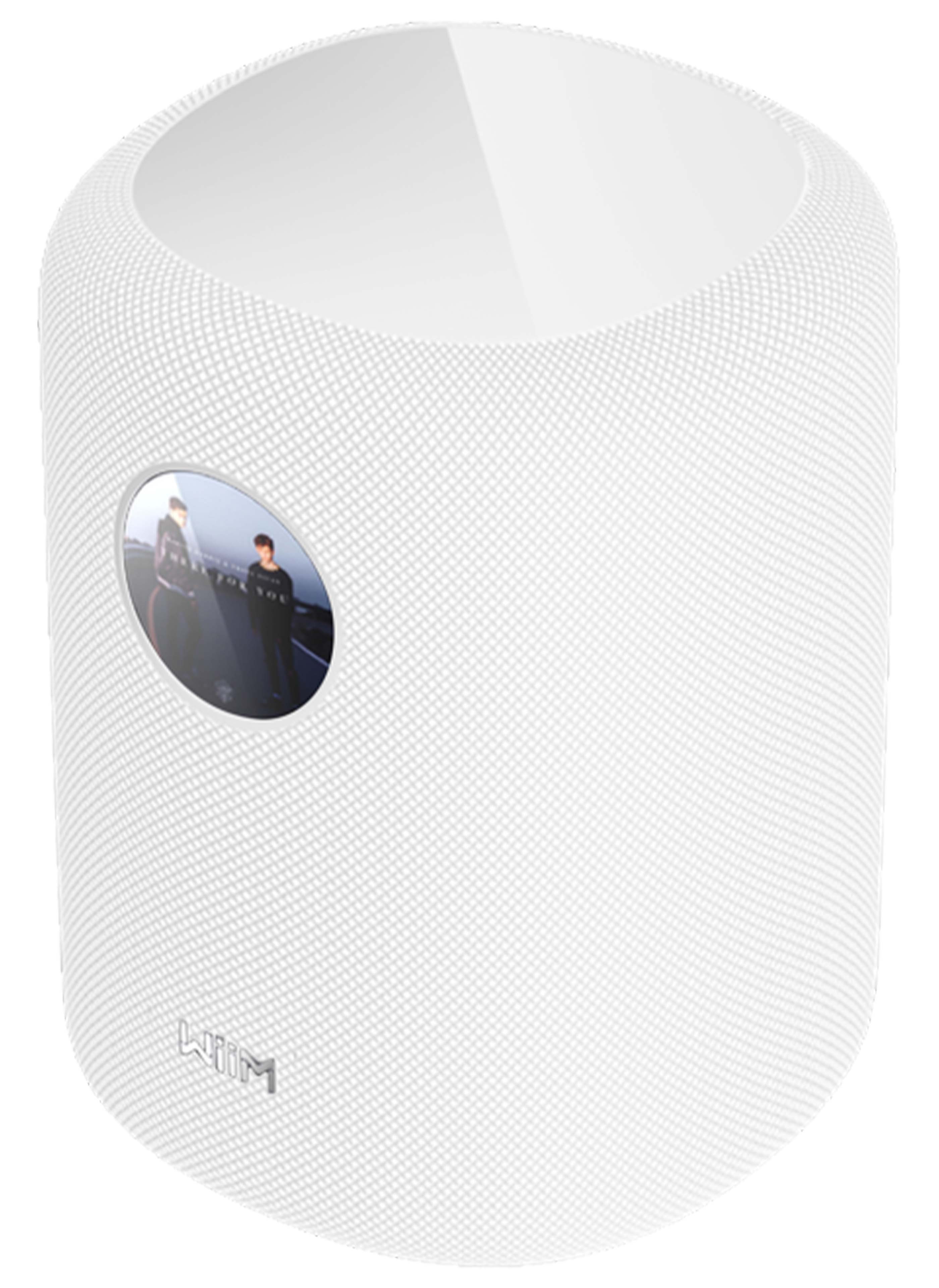 WIIM SOUND DISPLAY Enceinte Connectée avec Écran Blanc (Unité)