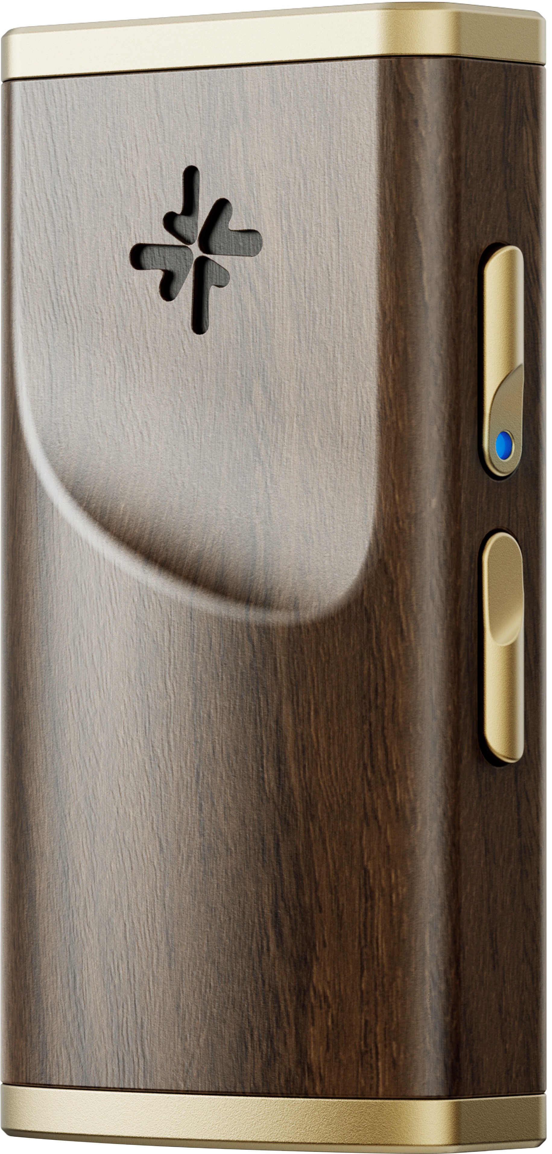 FIIO SNOWSKY MELODY Portable DAC Headphone Amplifier 2x CS43131 32bit 384kHz DSD256 Walnut