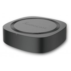 3/4 front view of IEAST Audiocast Pro M20