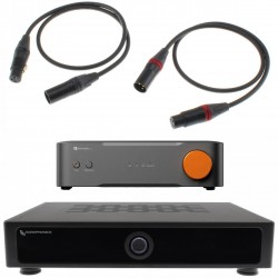 Pack Amplificateur Audiophonics AP300-S250NC + Lecteur Réseau Fosi Audio S3 + Câbles XLR 30cm Audiophonics
